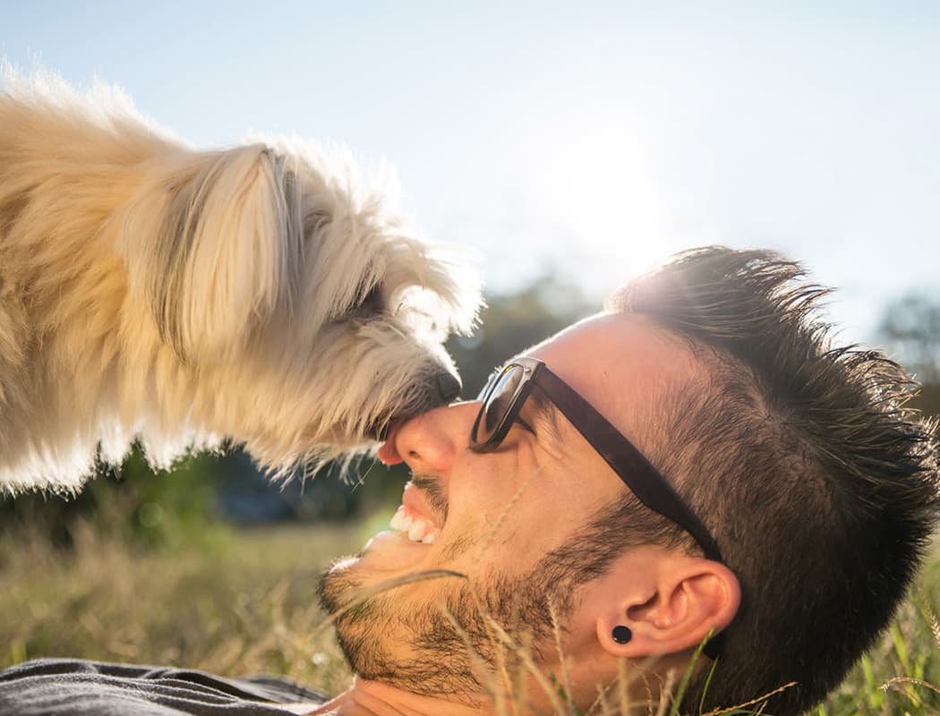 Resident and his dog playing outside at Dream Apartments in Henderson