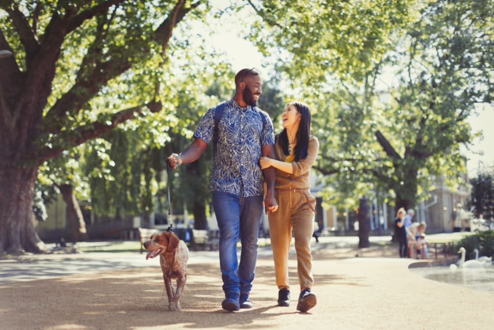 Resident couple walking their dog through a park near Motif Apartments in Lynnwood, Washington