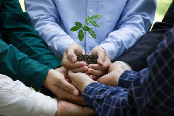 Community maintenance team holding a plant at Rosemont Windermere in Orlando, Florida