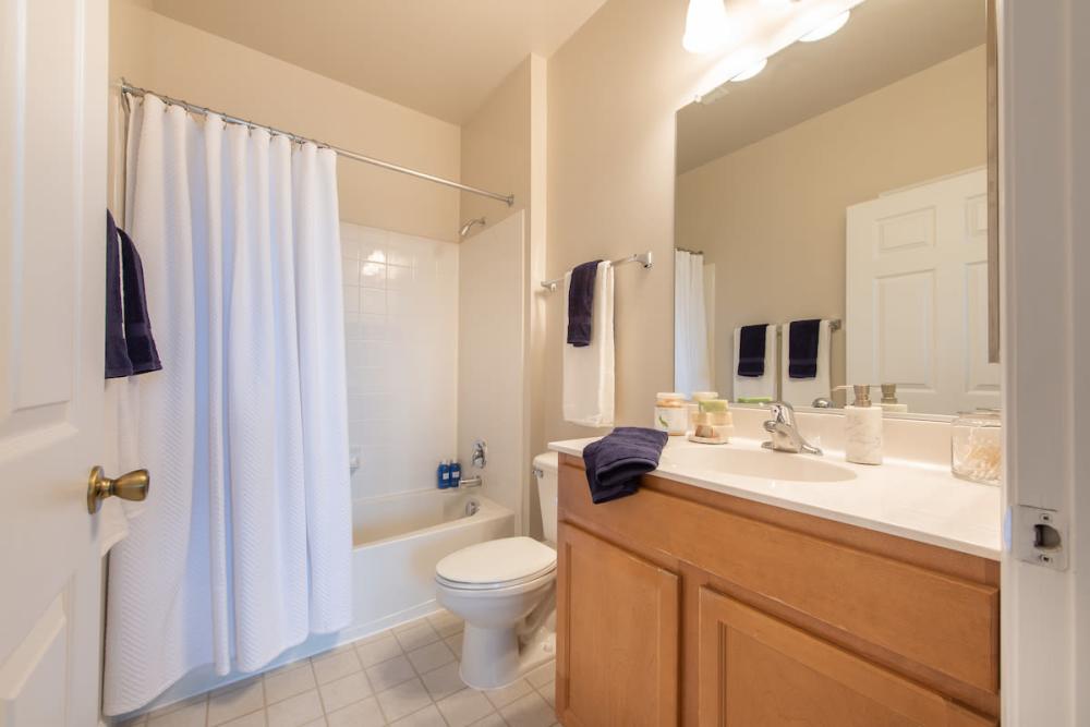 Bright bathroom with tub, mirror and storage space at The Elms at Germantown in Germantown, Maryland