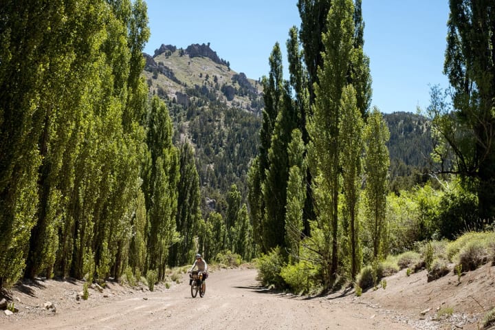 Biking on a trail through some trees