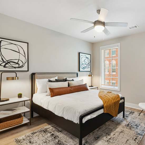 A furnished apartment living room with a ceiling fan at The Line in Savannah,  Georgia