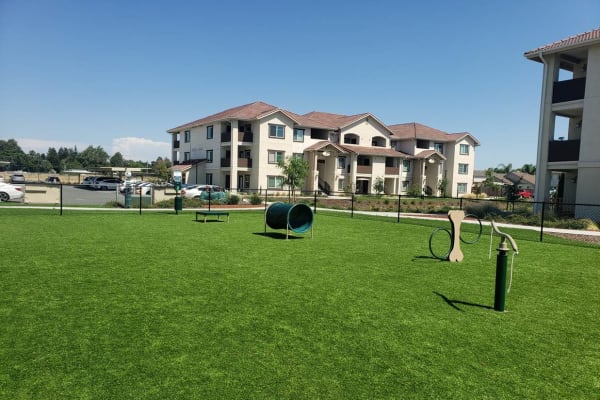 Resident and her puppy enjoying their new home at The Palms at Morada in Stockton, California