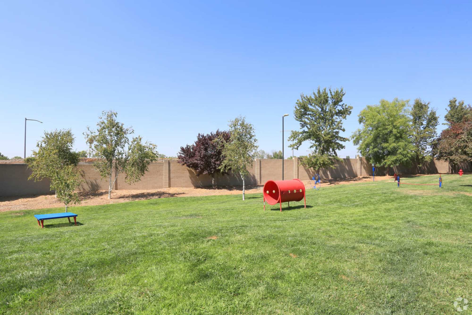 Dog park at Avion Apartments in Rancho Cordova, California