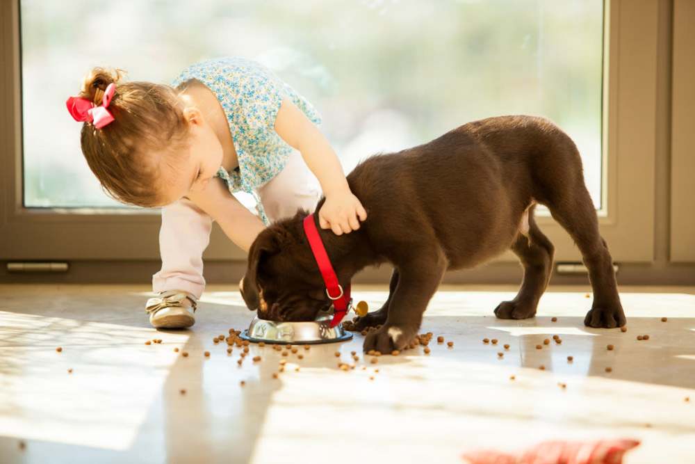 Kid with love making his pet to eat at Brookstone Park Of Seminole in Seminole, Oklahoma