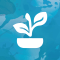 Environmental at Clearwater Beaverton in Beaverton, Oregon