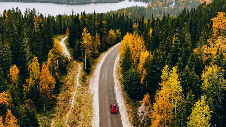 A car on a road surrounded by brightly colored trees, with a body of water in the distance.