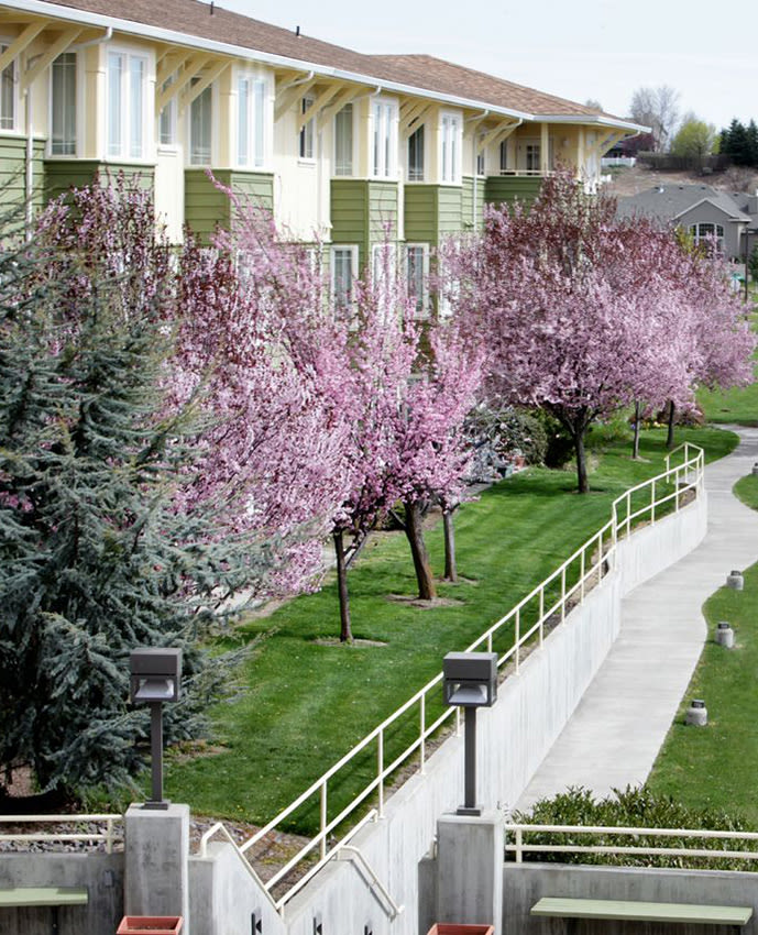 Backyard View at Crystal Terrace of Klamath Falls in Klamath Falls, Oregon