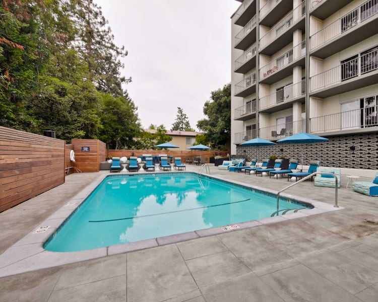 Swimming pool area with mature trees nearby at Mia in Palo Alto, California