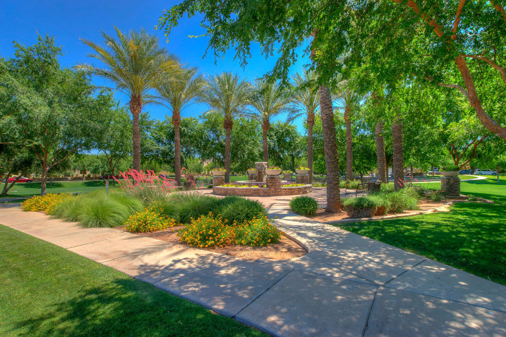 Park near BB Living at Val Vista in Gilbert, Arizona