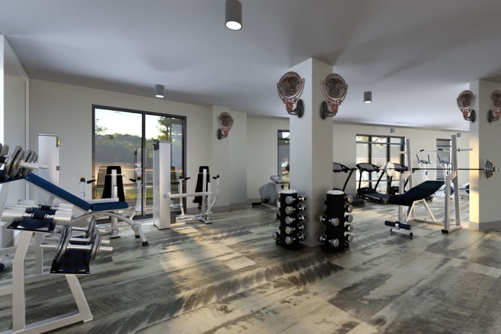 Fitness room at The Jaxon in Jacksonville, Florida