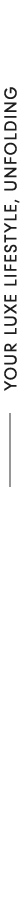Divider Image