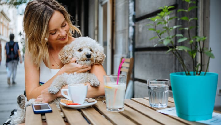 Dog-friendly activities in Virginia Beach