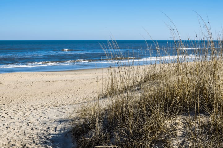 Sandbridge Beach dunes and ocean waves in Virginia Beach, Hampton Roads sandbridge-beach-virginia-beach-hampton-roads.png  