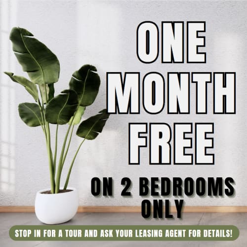Verena at Cypresswood One Month Free on Select 2 bedroom Units. Limited Availability - Act Fast! **Discount applies after first full months rent.
