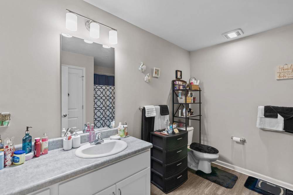 Bright bathroom with dual sinks, large mirror, and stylish decor on the shelves at Old Firetower Place in Greenville, North Carolina