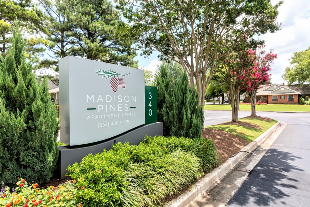 Madison Pines apartments in Madison, Alabama