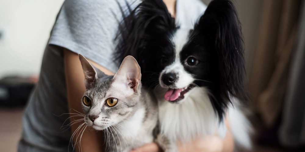Resident cudling her pets at The Breeze in Winter Haven, Florida
