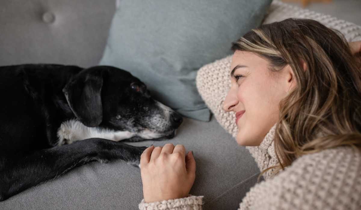 Resident woman with their dog at The Sycamores in Indianapolis, Indiana 