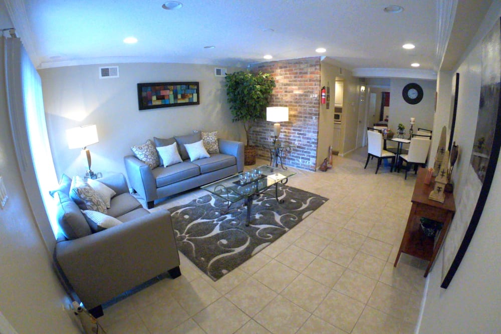 We love pets at 2929 Dunvale! Contact us to learn more about our pet-friendly apartments in Houston