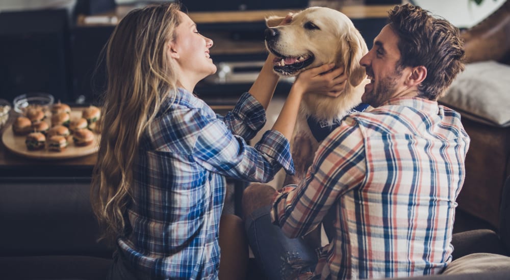 Couple relaxing at home with their dog at Springhill Apartments in Overland Park, Kansas