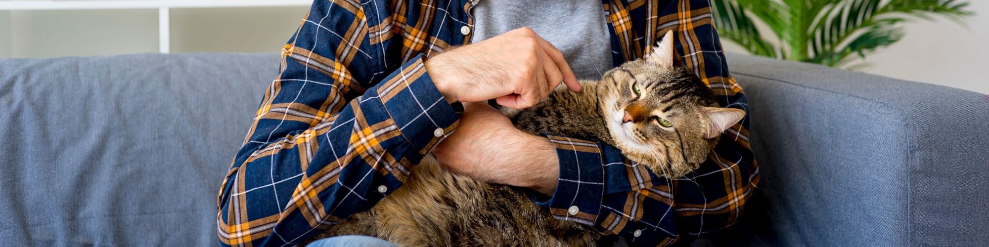 Resident playing with his cat at Rutledge Flats in Nashville, Tennessee