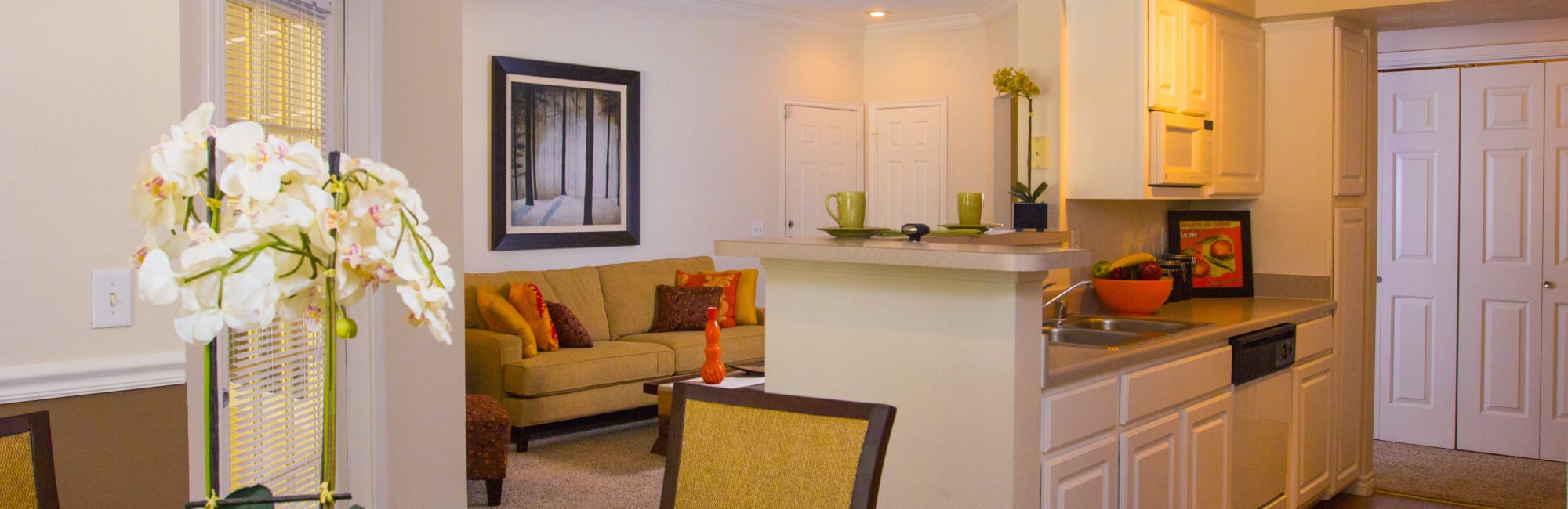 Fort Worth Tx Apartments Near Benbrook The Lodge At River Park