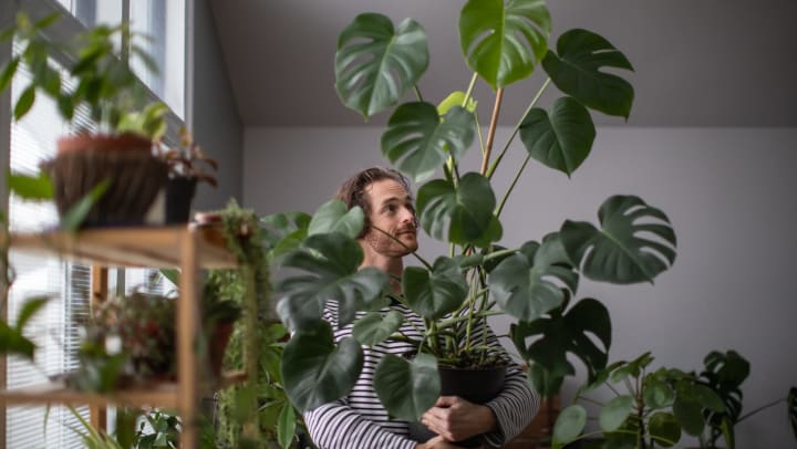 man holding plants in his apartment 