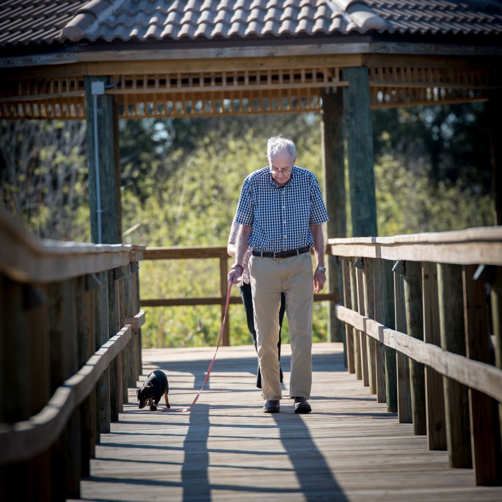 Resident walking his dog at Inspired Living Lewisville in Lewisville, Texas. 