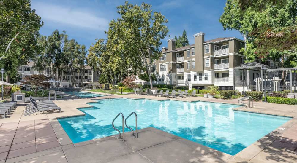 Pool with lounge chair at  Bella Vista Apartments in Santa Clara, California