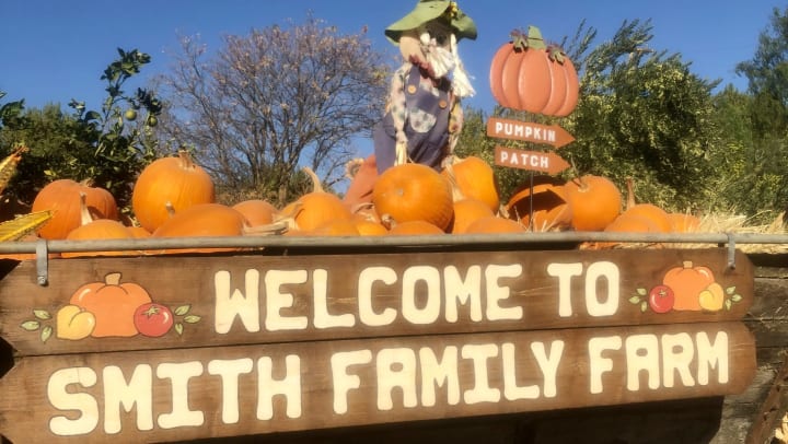 SFF Welcome