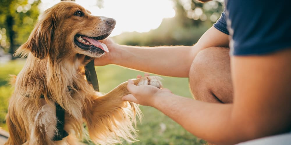 A resident and his dog at Costa Del Lago in Lake Worth, Florida