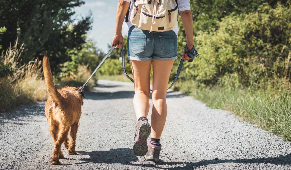 Woman walking with her dog on a gravel path surrounded by greenery at Prosper 83 in Sparks, Nevada