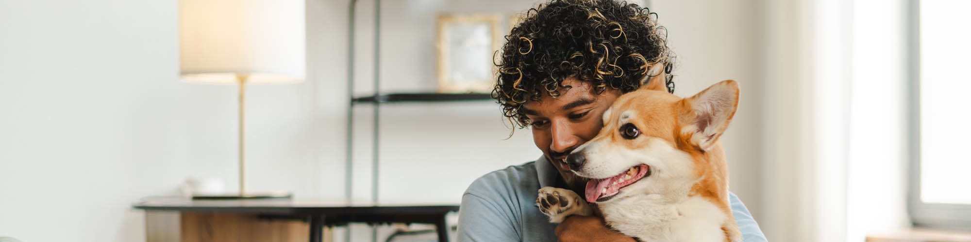 Pet Friendly | The Boulevard Apartment Homes in Woodland Hills, California