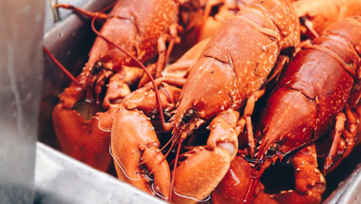 Freshly boiled lobster at a restaurant near Wimberly at Deerwood in Jacksonville, Florida