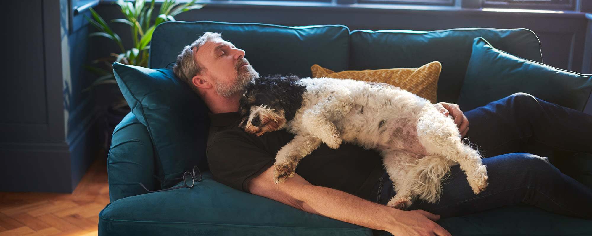 Pet Friendly | Desert Meadows in Lancaster, California