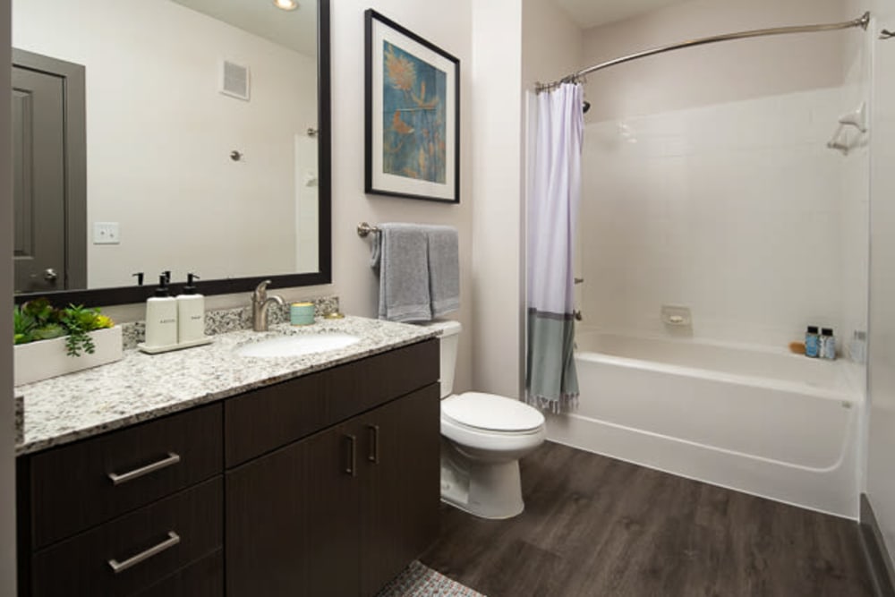 Model bathroom at The Crest at Flowery Branch in Flowery Branch, Georgia