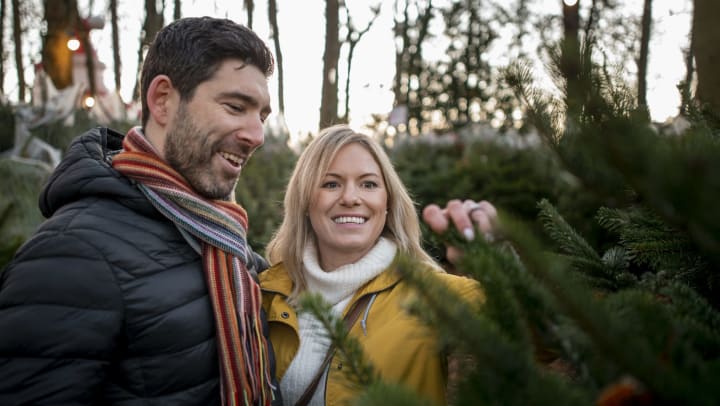 Plan a visit to these local lots for the perfect holiday tree.