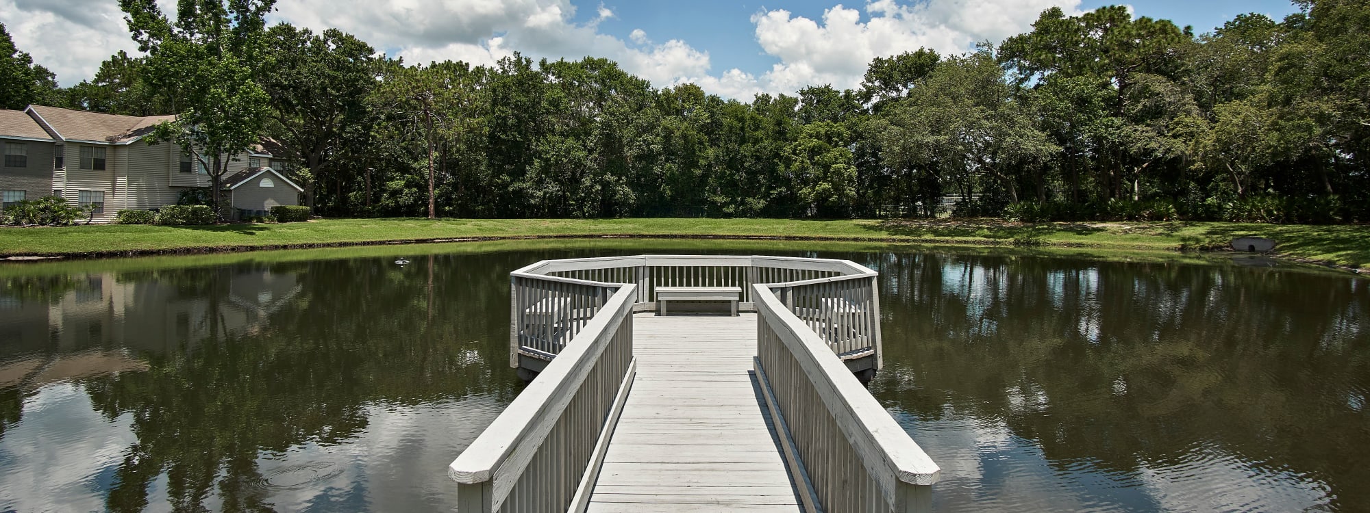 Photos of Avenue @Creekbridge in Brandon, Florida