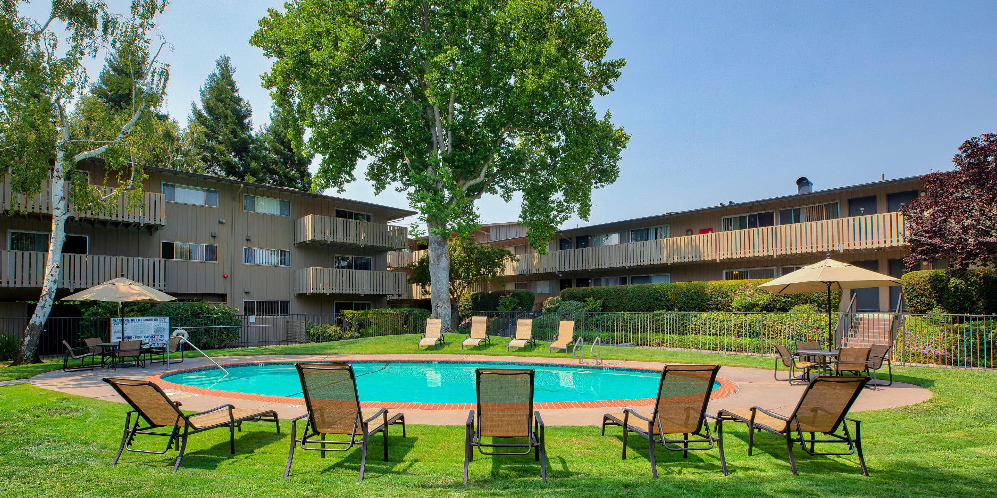 Pool area at Stanford Villa in Palo Alto, California