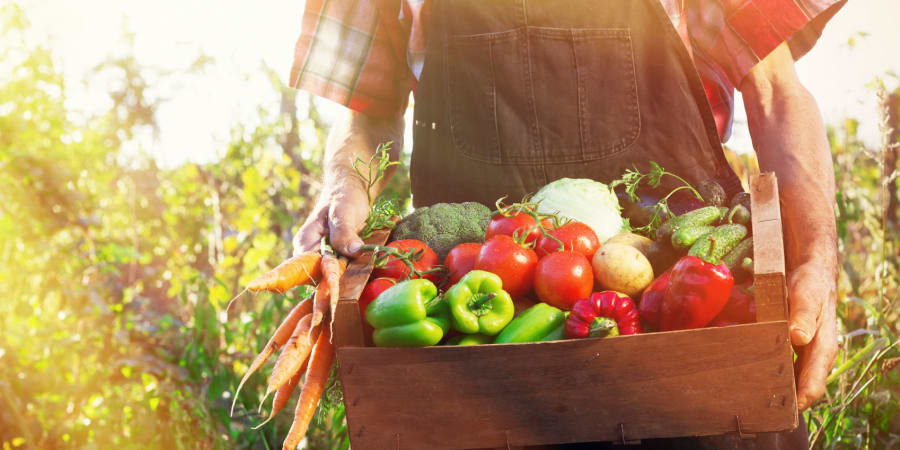 Our chefs use only local, farm-fresh ingredients here at Mill Hill Residence in West Yarmouth, Massachusetts