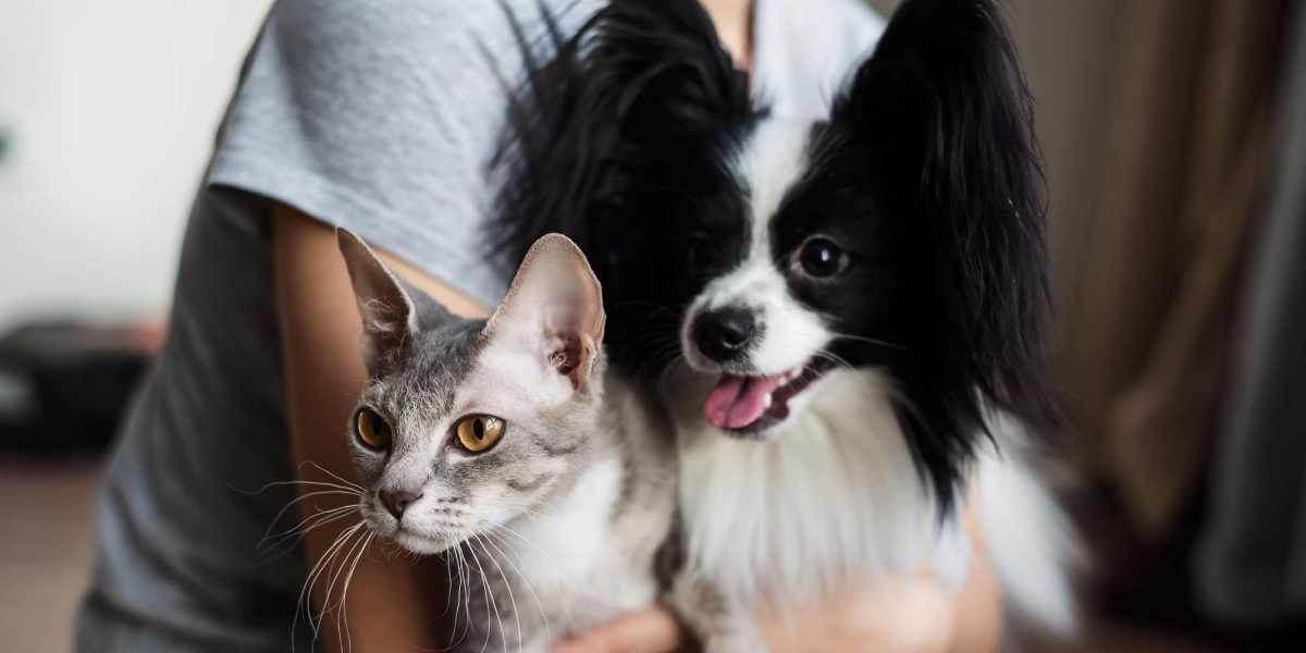 Resident holding her pets at Ennova Highlands in Arlington, Texas
