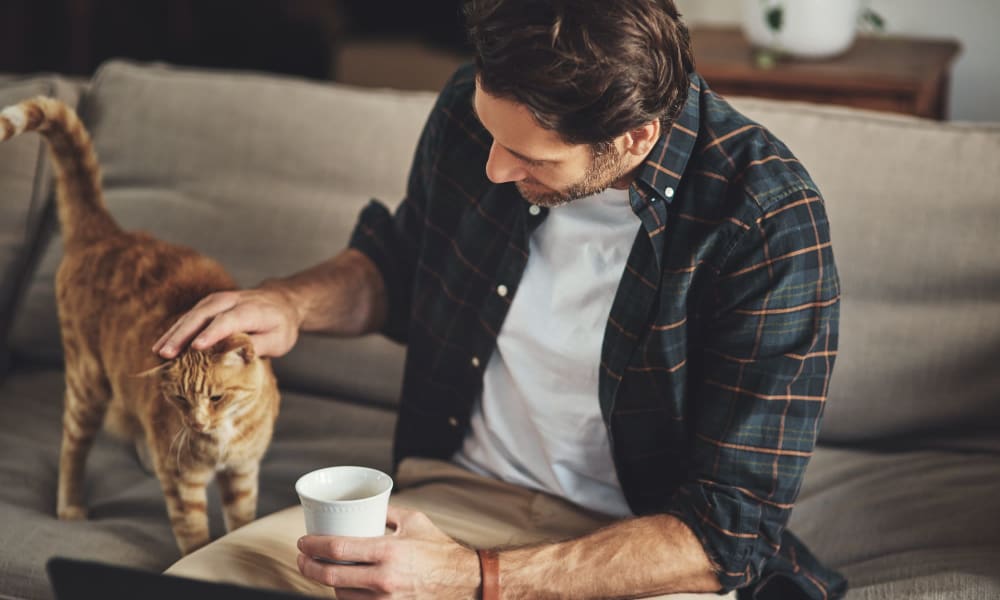 A man petting a cat at 1700 Exchange in Norcross, Georgia