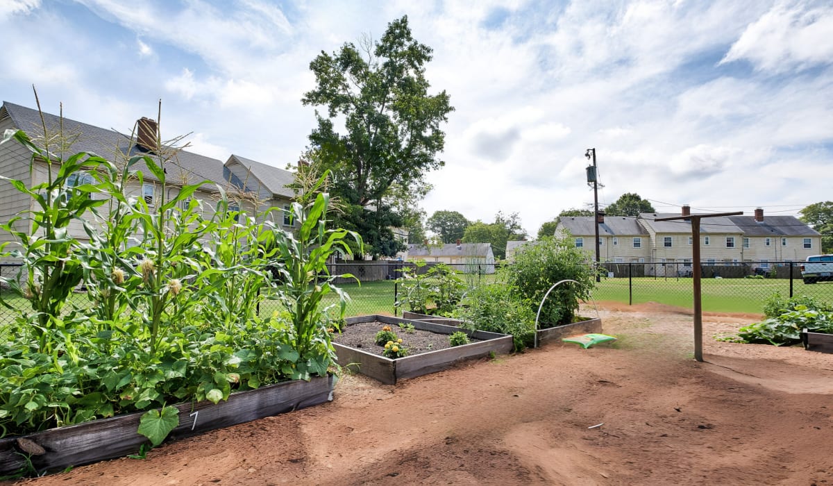 community garden at Hilliard Road Apartments in Richmond, Virginia