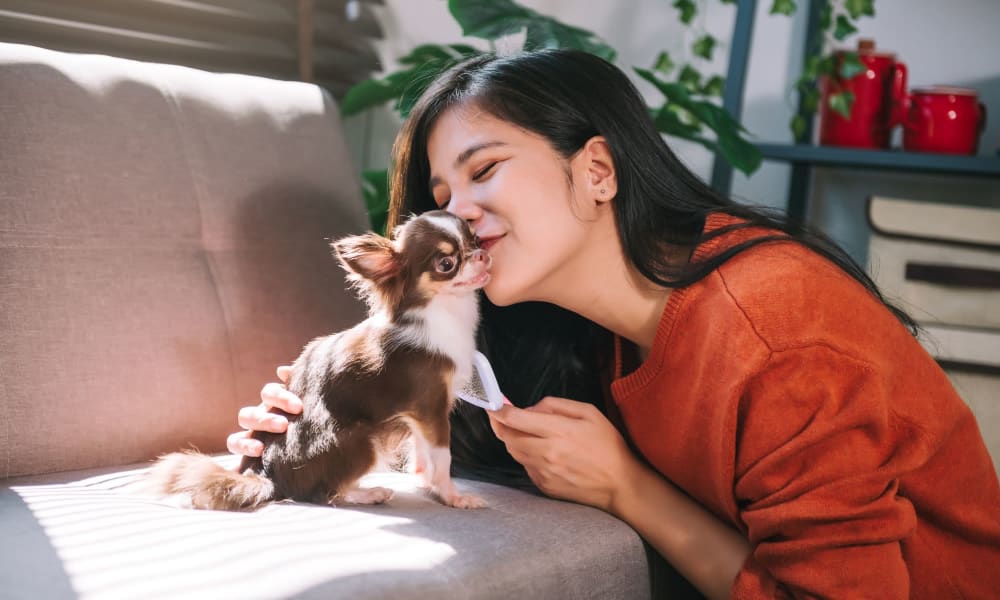 Happy woman kissing her puppy at Wyndstone Apartments in Yelm, Washington