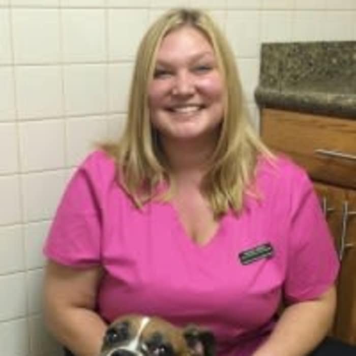Kelsey at Arizona Avenue Animal Clinic in Chandler, AZ