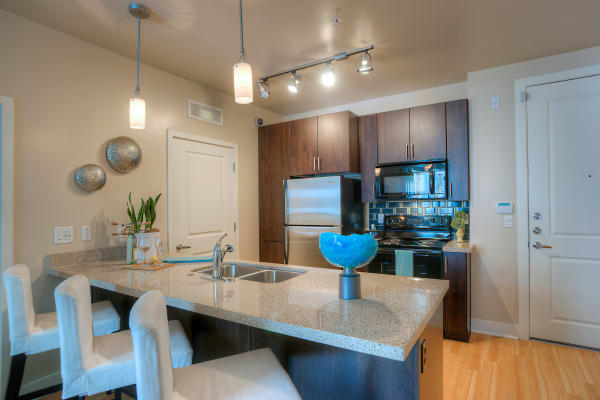 Gourmet kitchen with granite countertops and dark wood cabinetry in model home at Level at Sixteenth in Phoenix, Arizona