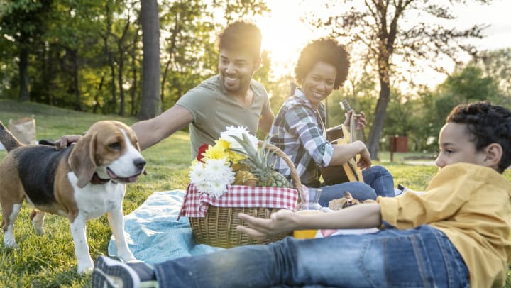 Family with their dog having a picnic in Brunswick, Georgia near The Enclave