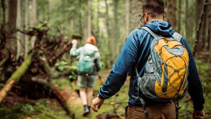 A person wearing shorts and a backpack and a man wearing a sweatshirt and backpack walking on a log in a forested area