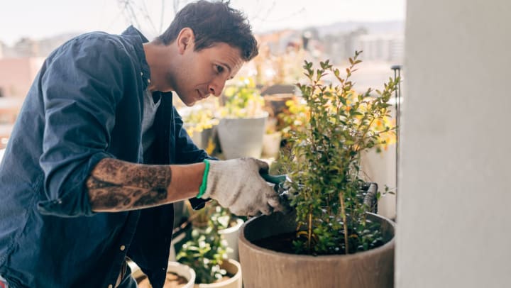 A man with tattoos is taking care of his plants on a sunny balcony.